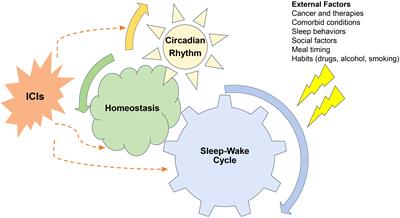 The Impact of Immunotherapy on Sleep and Circadian Rhythms in Patients with Cancer